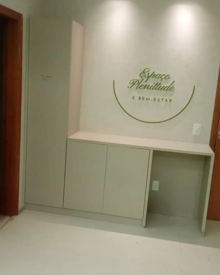 Gil Montador de Móveis em Ribeirão Preto 9